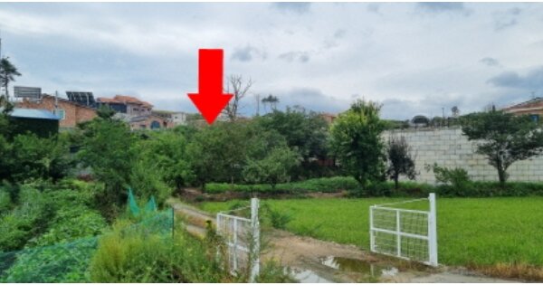 강원도 고성군 토성면 인흥리 OOO 단독주택 경매 물건 이미지