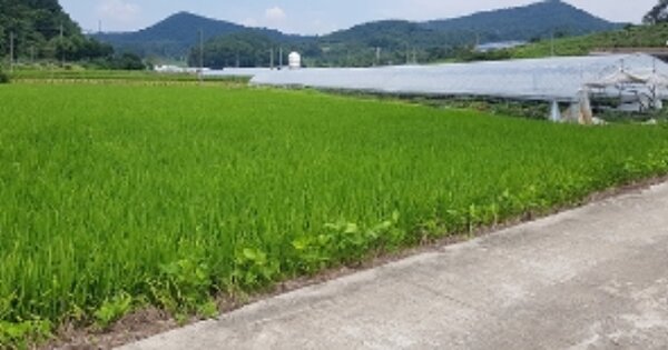 충청남도 서천군 마산면 나궁리 OOOO 답 경매 물건 이미지