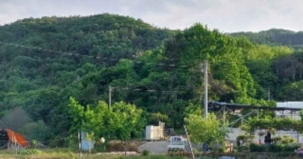 충청남도 청양군 정산면 와촌리 OOOOO 임야 경매 물건 이미지