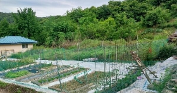 충청남도 공주시 금학동 OOOOO O OOO 전 경매 물건 이미지