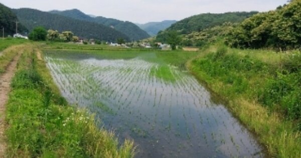 충청남도 공주시 유구읍 명곡리 OOOOO O OOO 전 경매 물건 이미지