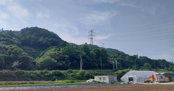충청남도 공주시 유구읍 문금리 OOOOOOO O OOO 임야 경매 물건 이미지