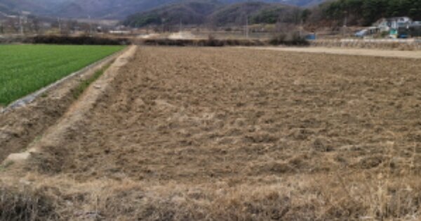 경상북도 고령군 대가야읍 저전리 OOOOO 답 경매 물건 이미지