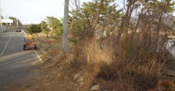 경상남도 사천시 용현면 신촌리 OOOOOO 임야 경매 물건 이미지