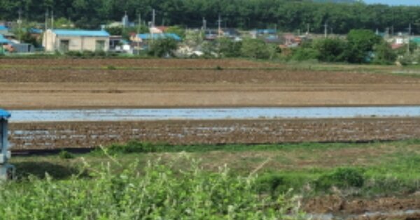 경상북도 포항시 북구 청하면 덕천리 OOO 답 경매 물건 이미지