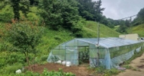 경상북도 울릉군 울릉읍 저동리 OOO 임야 경매 물건 이미지