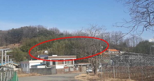 강원도 동해시 대구동 OOOOO 전 경매 물건 이미지