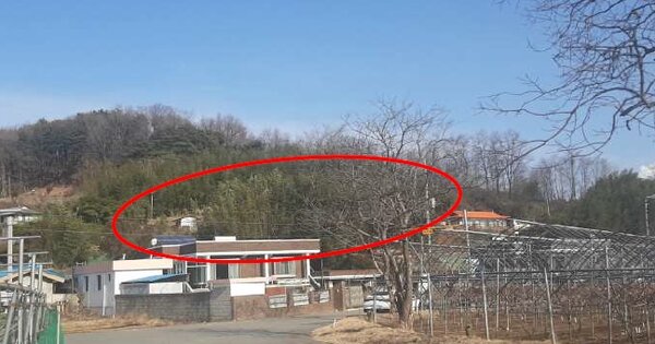강원도 동해시 대구동 OOOOO 대지 경매 물건 이미지