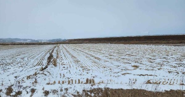 충청남도 태안군 남면 양잠리 OOOOOO 답 경매 물건 이미지