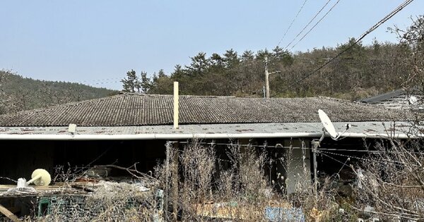 전남 완도군 고금면 봉명리 OOO 단독주택 경매 물건 이미지