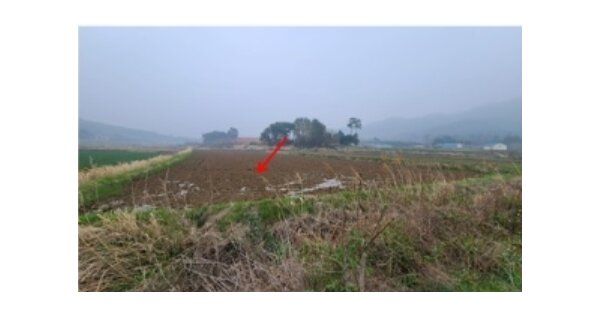 전라남도 영암군 미암면 미암리 OOOOO O OOO 답 경매 물건 이미지