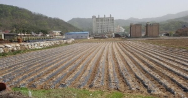 강원도 춘천시 신북읍 천전리 OOOOOO O OOO 전 경매 물건 이미지