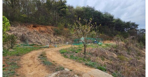 충청남도 당진시 면천면 삼웅리 OOOOO 전 경매 물건 이미지