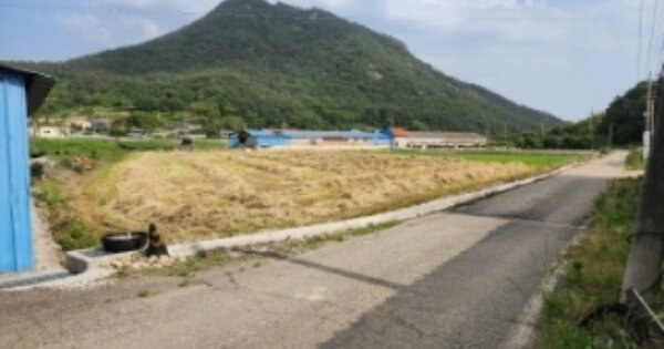 전라남도 고흥군 도화면 사덕리 OOOOO O OOO 답 경매 물건 이미지