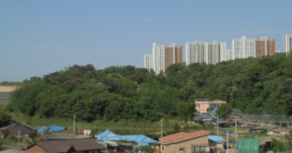 충청북도 청주시 흥덕구 옥산면 가락리 OOO O OOO 임야 경매 물건 이미지