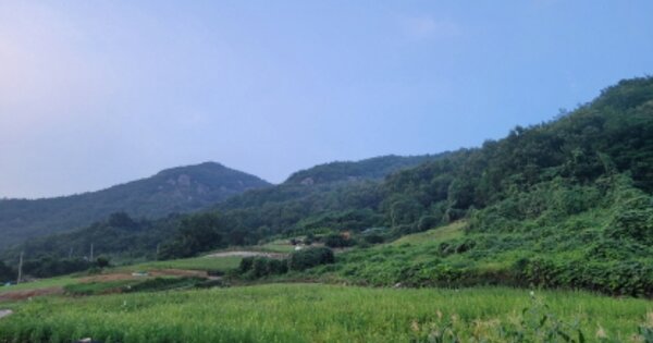 전라남도 고흥군 영남면 금사리 OOOOOO 전 경매 물건 이미지