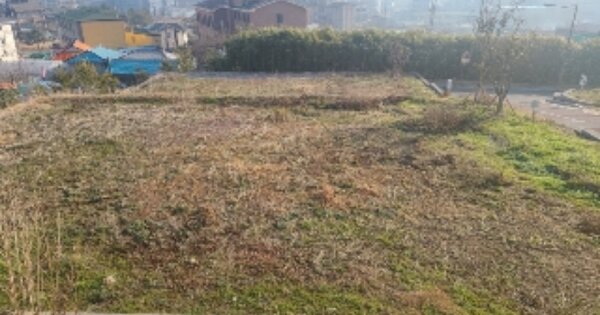 전라남도 나주시 대호동 OOOO 대지 경매 물건 이미지