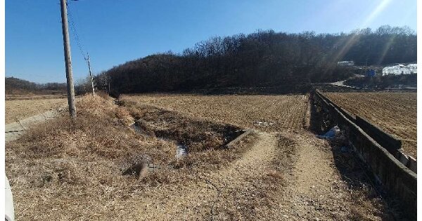 경상북도 예천군 개포면 금리 OOOOO 답 경매 물건 이미지