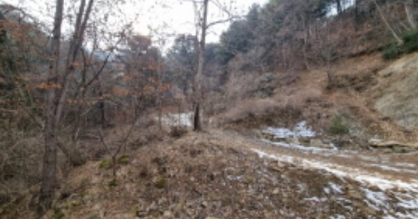 경기도 가평군 상면 덕현리 OOOOOO 임야 경매 물건 이미지