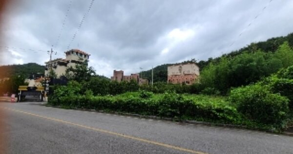 전라남도 화순군 도곡면 원화리 OOO 대지 경매 물건 이미지