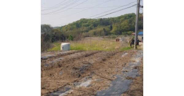 경기도 포천시 신북면 기지리 OOO 답 경매 물건 이미지
