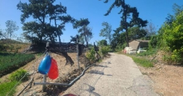 전라남도 영광군 염산면 두우리 OOO 임야 경매 물건 이미지