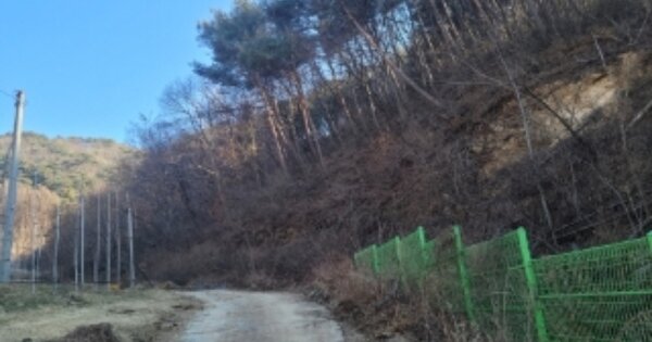경상북도 봉화군 물야면 개단리 OOO 임야 경매 물건 이미지