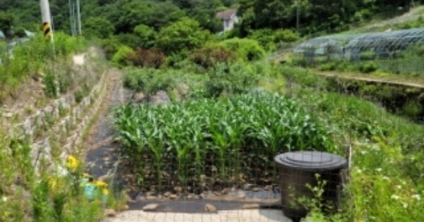 경상북도 봉화군 소천면 두음리 OOOOO 도로 경매 물건 이미지
