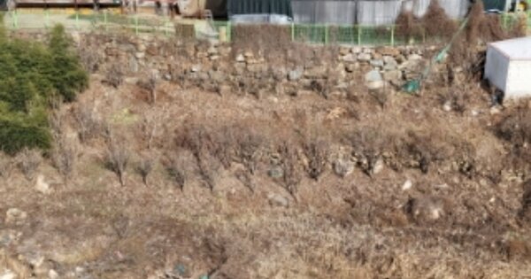 경상남도 양산시 어곡동 OOOO O OOO 주차장 경매 물건 이미지
