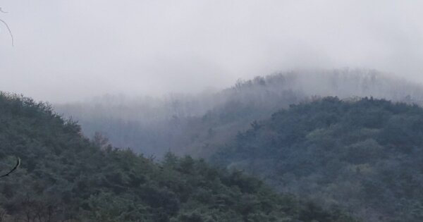 대구광역시 수성구 욱수동 OOOOOO 임야 경매 물건 이미지