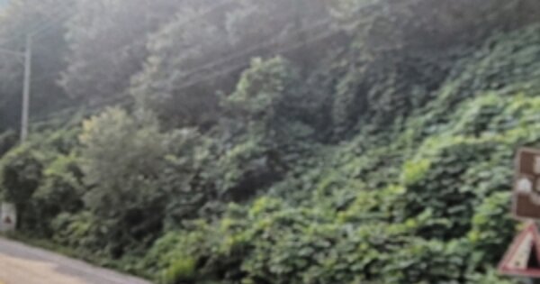 경상북도 봉화군 명호면 관창리 OOO 전 경매 물건 이미지
