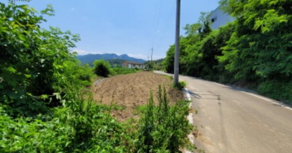 경상북도 영천시 대창면 구지리 OO 답 경매 물건 이미지