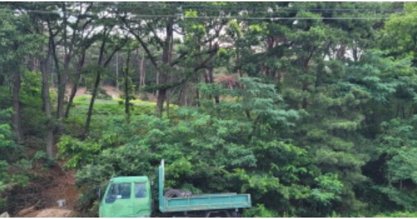 경상북도 칠곡군 지천면 연화리 OOOOOO 임야 경매 물건 이미지