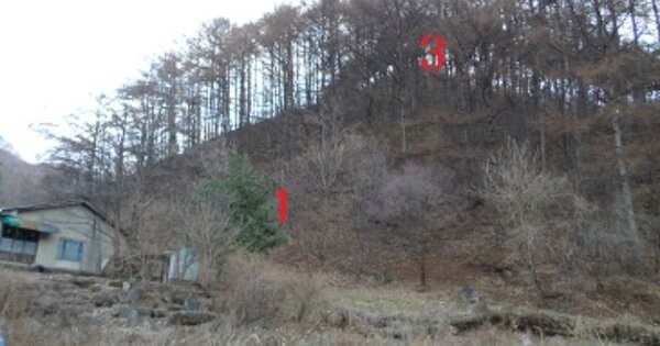 강원도 원주시 판부면 금대리 OOOOOO O OOO 임야 경매 물건 이미지