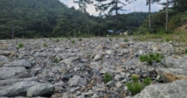 경상남도 고성군 하이면 월흥리 OOOOOO 임야 경매 물건 이미지