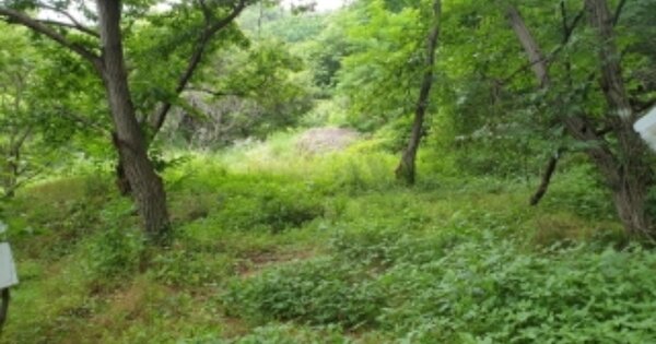 경상남도 함양군 병곡면 연덕리 OOO 답 경매 물건 이미지