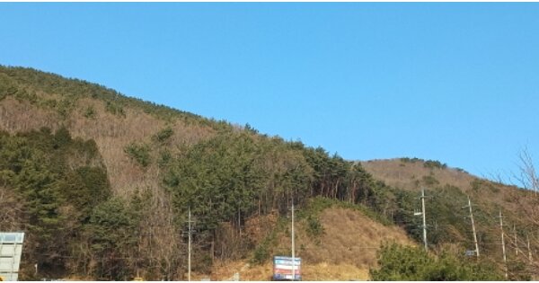 경상남도 거제시 일운면 소동리 OOOOO 임야 경매 물건 이미지