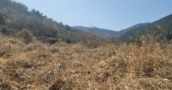 경상남도 거제시 사등면 사등리 OOOOOO 답 경매 물건 이미지