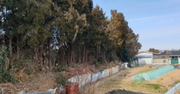 울산광역시 북구 호계동 OOOOO 단독주택 경매 물건 이미지