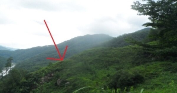 강원도 영월군 무릉도원면 운학리 OOOO O OOO 임야 경매 물건 이미지