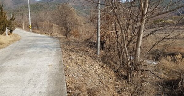 경상북도 의성군 비안면 자락리 OO 전 경매 물건 이미지