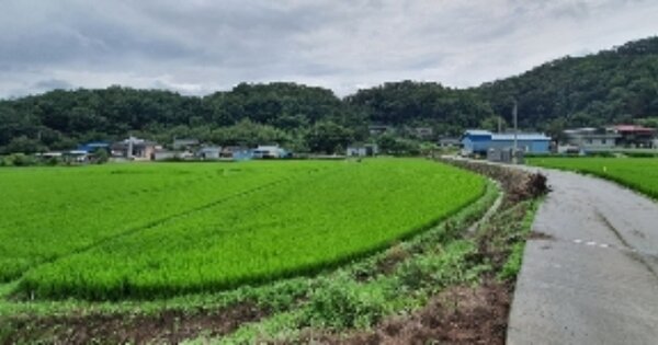 경상남도 함안군 대산면 평림리 OOOOO O OOO 답 경매 물건 이미지