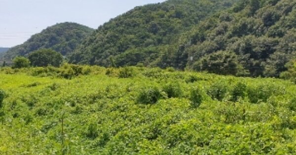 경상남도 창원시 마산합포구 진북면 추곡리 OOOOO 답 경매 물건 이미지