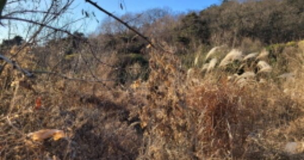 대구광역시 달성군 논공읍 노이리 OOO 전 경매 물건 이미지