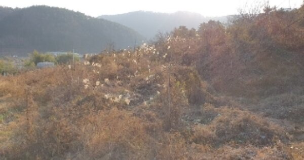 경상남도 창원시 마산합포구 현동 OOO 답 경매 물건 이미지