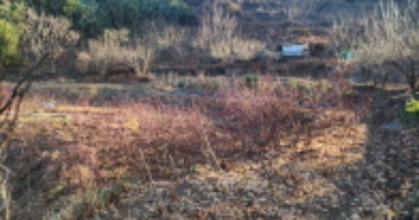 경상남도 양산시 남부동 OO 전 경매 물건 이미지