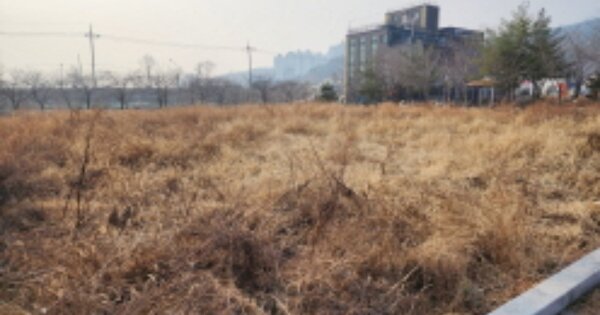 울산광역시 울주군 삼남읍 교동리 OOOOOO 대지 경매 물건 이미지