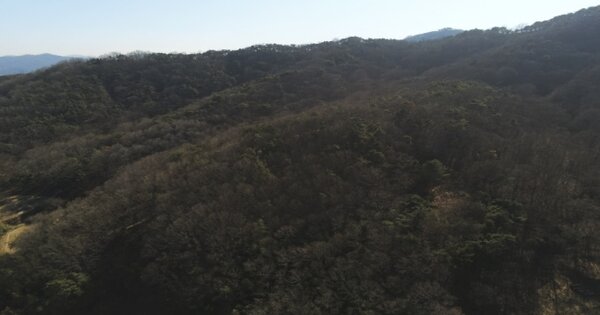 경상북도 김천시 개령면 남전리 OOOOO 임야 경매 물건 이미지