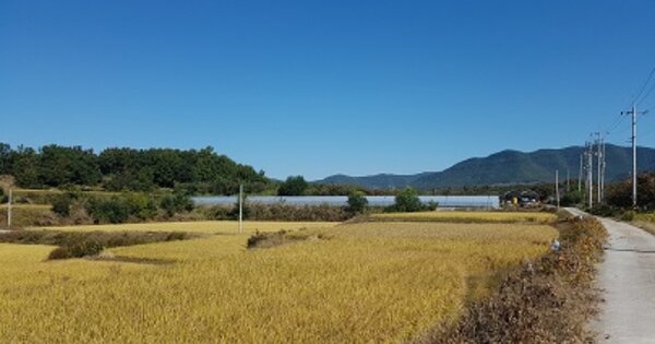 경상북도 의성군 다인면 외정리 OOOOOO O OOO 임야 경매 물건 이미지