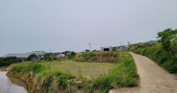 경상북도 경주시 진현동 OOOOO 답 경매 물건 이미지